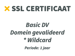 SSL Certificaat DV Wildcard